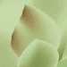 Title #14